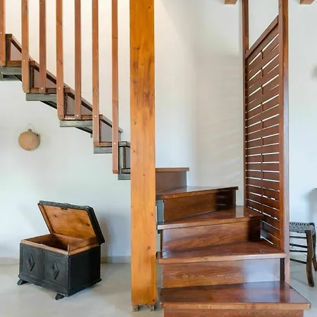 Dim Art Stone House *